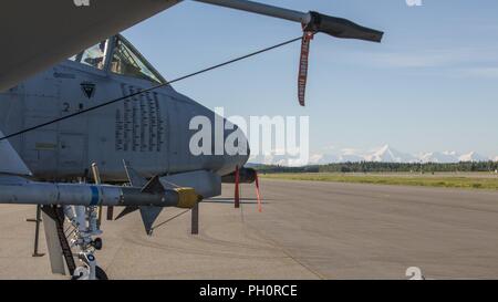 Eine A-10 Thunderbolt II C aus der 190 Fighter Squadron sitzt frei auf der Flightline an Eielson Air Force Base, Alaska, 20. Juni 2018 während Rote Flagge Alaska 18-2. Die multi-nationale Übung bietet Piloten mit Schneide Ausbildung in fliegenden Bedingungen über die Alaska Wildnis. Stockfoto