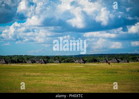 Neun Black Hawk Hubschraubern werden inszeniert auf einem Flugplatz in Fort Hood, Texas, 18. Juni 2018. U.S. Army National Guard Soldaten der 35th Combat Aviation Brigade, in Sedalia, Mo mit Sitz zugeordnet, werden diese Flugzeuge nutzen logistische Missionen für eine bevorstehende Bereitstellung in den Nahen Osten zu vervollständigen. Stockfoto