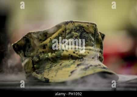 Us-Marines, mit chemischen, biologischen, radiologischen und nuklearen (CBRN) Platoon, zentrale Bataillon, 1st Marine Division, beobachten Sie die Auswirkungen von flüssigem Stickstoff während das Konzept der realen Welt CBRN-Kurs an der Guardian Zentren in Perry, Georgia, 20. Juni 2018. Diese Schulung wurde durchgeführt, um zu verbessern und das Verhalten der sensiblen Ort Ausbeutung, die Entscheidungsfindung der Commander unterstützt und pflegt die Dynamik während der Kampfhandlungen zu verfeinern. Stockfoto