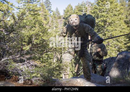 Eine Aufklärung Marine mit 4 Reconnaissance Battalion, 4th Marine Division, rappels, eine Klippe während Berg Übung 3-18, am Berg Warfare Training Center, Bridgeport, Calif., 20. Juni 2018. Nach Abschluss der Übung 4-17 letztes Jahr, 4 Reconnaissance Bataillon nahmen an MTX3-18 Kleinmaßeinheit Führung weiter zu entwickeln und ein Verständnis für die verschiedenen Klimazonen und Szenarien, die Sie in der Zukunft haben könnten. Stockfoto