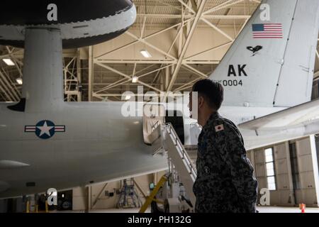 Japan Air Verteidigung-kraft Senior Berater angeworben Warrant Officer Masahiro Yokota betrachtet ein E-3 Sentry der 962Nd Airborne Air Control Squadron bei Joint Base Elmendorf-Richardson, Alaska, 19. Juni 2018 vergeben. Bei seinem Besuch, Yokota tourte die Installation und beaufsichtigte JASDF Flieger Seite an Seite mit den amerikanischen Streitkräften während der Pacific Air Forces' Premier Air Combat übung, Rot Flag-Alaska, Iteration 18-2. Stockfoto