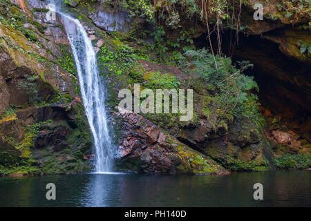 Wasserfall im tropischen Dschungel im Herzen von Bolivien versteckt. Foto Stockfoto