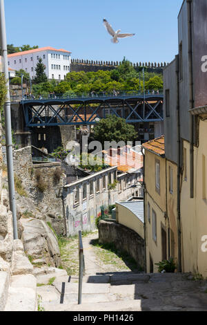 Treppen von As Verdades, die Wahrheiten auf Portugiesisch, Häuser in Ruinen in der historischen Ribeira Nachbarschaft. Luiz I Brücke im Hintergrund, Porto, Portugal Stockfoto