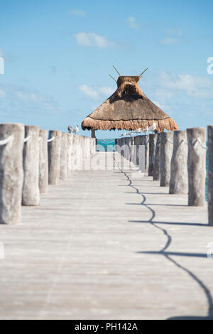 Blick auf das Meer von einem Steg mit Möwen auf beiden Seiten und einem gras dach thront am Ende. Stockfoto