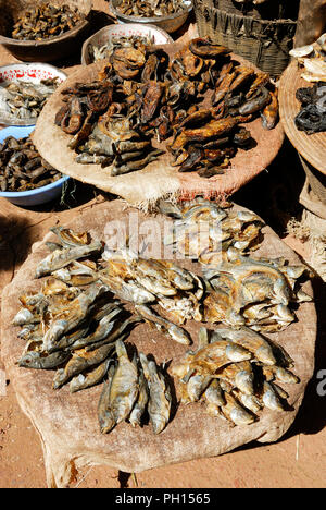 Getrockneten Fisch aus dem Fluss Niger am Mopti Markt. Mali, Westafrika Stockfoto