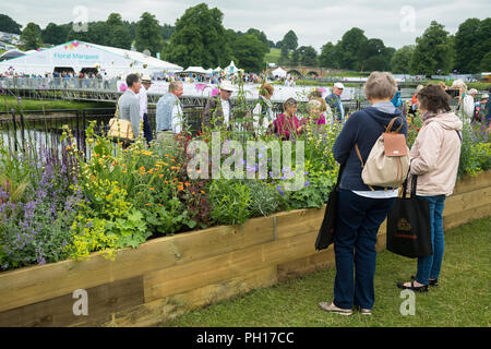 Menschen sehen blühende Pflanzen in angehobener Bett (lange Grenze Wettbewerb) an belebten ländlichen Showground - RHS Chatsworth Flower Show, Derbyshire, England, UK. Stockfoto