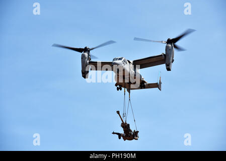 Eine MV-22 Osprey mit Marine Medium Tiltrotor Squadron 268 (VMM-268) Luftbrücken ein M777 Haubitze von Mike Batterie, 3.Bataillon, 11 Marine Regiment, während Marine Drehkraft - Darwins Übung Koolendong am Mount Bundey Training Area, Australien, Nov. 25, 2018. Dies ist zum ersten Mal eine Osprey abgehoben hat und verschoben eine Haubitze in einem strengen Umwelt in Australien und es ist das erste Mal, dass eine gesamte Artillerie Batterie zur Unterstützung der MRF-D. bereitgestellt (U.S. Marine Corps Foto: Staff Sgt. Daniel Wetzel) Stockfoto