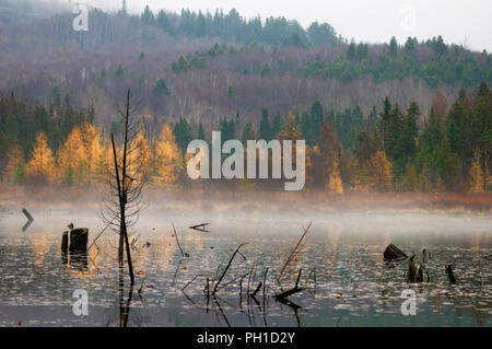 Herbst Landschaft Natur Szene. Stockfoto