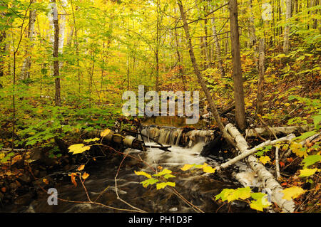 Herbst Landschaft Natur Szene. Stockfoto