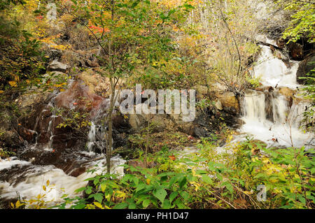 Herbst Landschaft Natur Szene. Stockfoto