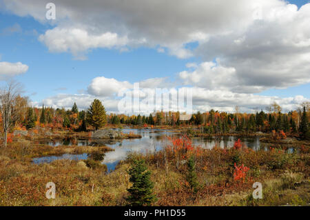 Herbst Landschaft Natur Szene. Stockfoto