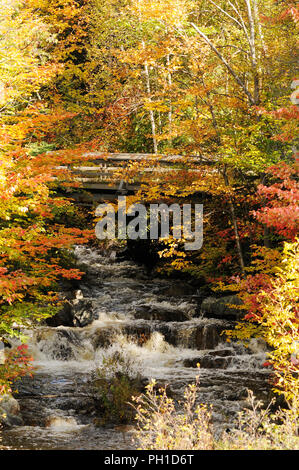 Herbst Landschaft Natur Szene. Stockfoto