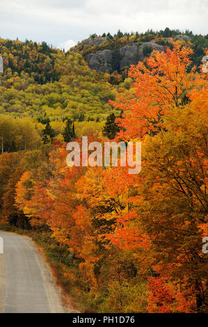 Herbst Landschaft Natur Szene. Stockfoto