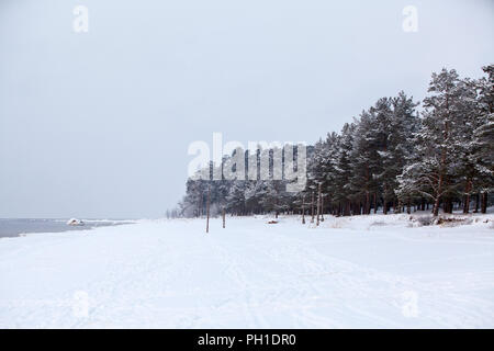 Schneebedeckten leeren Küste des Golfs von Finnland in Strand von Sosnowy Bor, Region Leningrad, Russland Stockfoto