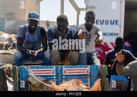 SAINT LOUIS, SENEGAL - Apr 24, 2017: Unbekannter senegalesischen jungen Fahrt in einen Warenkorb und Lächeln auf den lokalen Markt von Saint Louis, Senegal Stockfoto