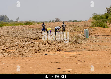 Weg zum Kalvarienberg, SENEGAL - 23.April 2017: Unbekannter Senegalesen die Arbeit vor Ort im Feld. Noch viele Menschen im Senegal leben in Armut Stockfoto