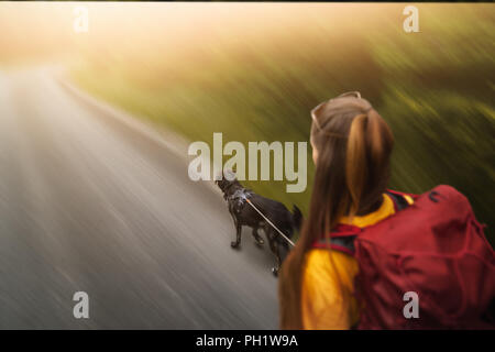 Junge Frau und Schäferhund gehen für einen Spaziergang draußen in der Natur - schnell Stockfoto