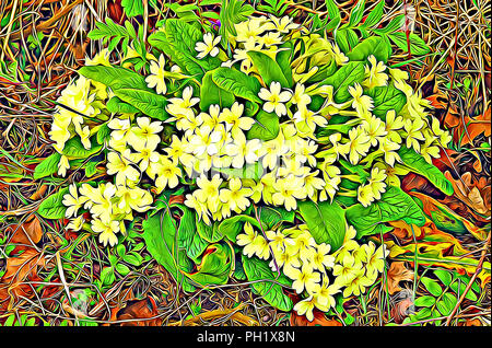 Primel Blumen Stockfoto