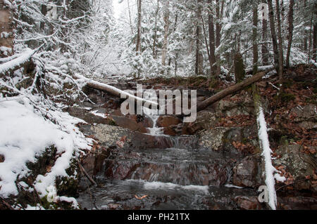 Winterlandschaft seine weiße Decke auf Bäumen. Stockfoto