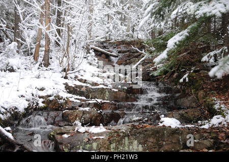 Winterlandschaft seine weiße Decke auf Bäumen. Stockfoto