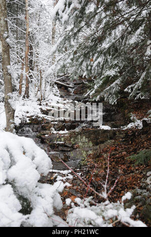 Winterlandschaft seine weiße Decke auf Bäumen. Stockfoto