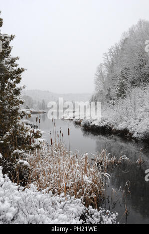 Winterlandschaft seine weiße Decke auf Bäumen. Stockfoto