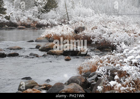 Winterlandschaft seine weiße Decke auf Bäumen. Stockfoto