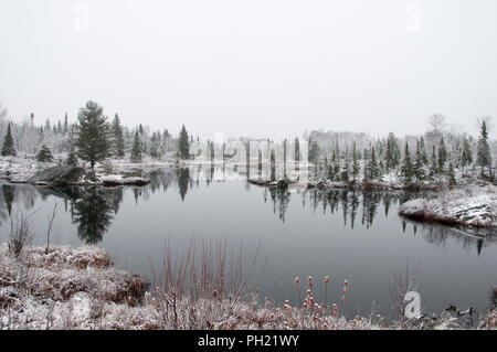 Winterlandschaft seine weiße Decke auf Bäumen. Stockfoto