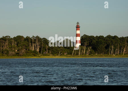 Assateague Leuchtturm auf Assateague Island in das Chincoteague National Wildlife Refuge auf dem östlichen Ufer von Virginia. Stockfoto