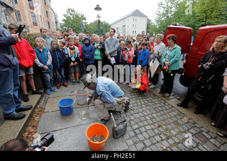 30. August 2018, Chemnitz, Deutschland: Kölner Künstler Gunter Demnig verlegt 19 neue Stolpersteine in Chemnitz. Die Stolpersteine ehren Bürger, die Opfer des Nationalsozialismus. Bei Andrestraße 11, die Stolpersteine wurden in Erinnerung an Rosa Abel und Hannah Abel gelegt. Kinder der Montessori Schule und ihre Lehrer begleitet die Ereignisse. Foto: Harry Härtel/dpa-Zentralbild/dpa Stockfoto