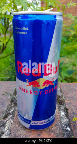 London. UK 30. Aug. 2018-A Red Bull Energy Drink. Der britische Premierminister Theresa May hat angekündigt, dass die britische Regierung den Verkauf von Red Bull, Monster und andere Energy Drinks für Kinder unter 18-Jährigen, die in England unter wachsender Besorgnis über die Auswirkungen, die die hohen - Koffein, Zucker Getränke sind auf junge peopleÕs Gesundheit verbieten. Credit: Dinendra Haria/Alamy leben Nachrichten Stockfoto