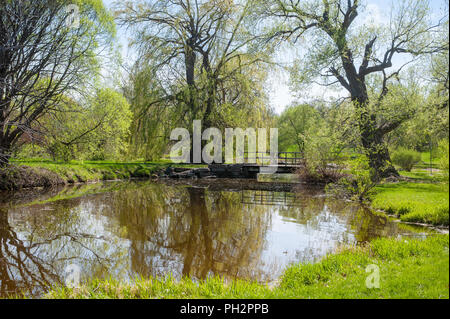 Frühling, Dominion Arboretum von Dow's Lake und Rideau Canal, Ottawa Stockfoto