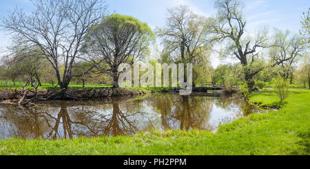 Frühling, Dominion Arboretum von Dow's Lake und Rideau Canal, Ottawa Stockfoto