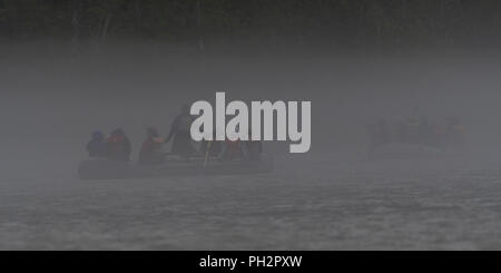 Foggy float Trip durch die Alaska Chilkat Bald Eagle Preserve in der Nähe von Haines, Alaska, USA. Stockfoto