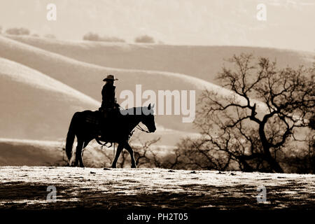 Schwarz-weiß Bild von einer einzigen Reiter auf dem Pferd gegen die sanften Hügel des V6-Ranch im ersten Morgenlicht Silhouette Stockfoto