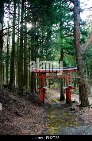 Foto zeigt die rote Torii Tor markiert den Eingang zum Heiligtum in Nebara Asama, fujinomiya City, Shizuoka Prefecture Japan am 22. März 2013. Um 1,3 Stockfoto