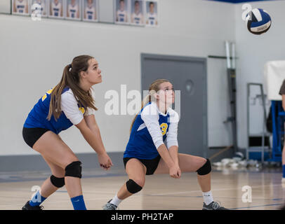 Volleyball Aktion mit Pierce High School an der Universität Vorbereitung in Redding, Kalifornien. Stockfoto