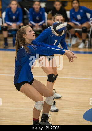 Volleyball Aktion mit Pierce High School an der Universität Vorbereitung in Redding, Kalifornien. Stockfoto