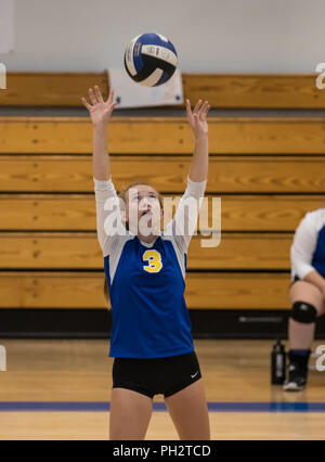 Volleyball Aktion mit Pierce High School an der Universität Vorbereitung in Redding, Kalifornien. Stockfoto