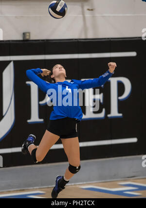 Volleyball Aktion mit Pierce High School an der Universität Vorbereitung in Redding, Kalifornien. Stockfoto