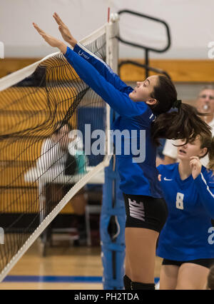 Volleyball Aktion mit Pierce High School an der Universität Vorbereitung in Redding, Kalifornien. Stockfoto