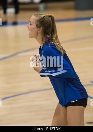 Volleyball Aktion mit Pierce High School an der Universität Vorbereitung in Redding, Kalifornien. Stockfoto