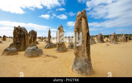 Die Pinnacles Kalksteinformationen in den Nambung Nationalpark, Western Australia Stockfoto