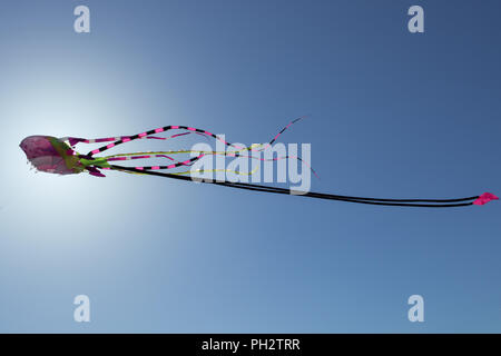 Bunte Drachen gegen den blauen Himmel Stockfoto