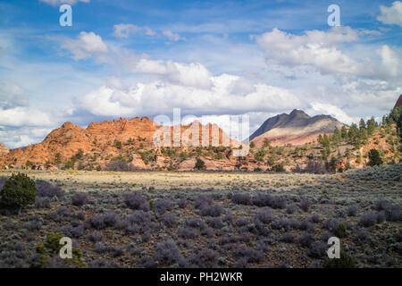 Bergrücken im Zion National Park, Utah Stockfoto