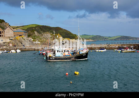 Fischerboote vor Anker und aufgereiht im äußeren Hafen von Mevagissey auf der Cornish Mäntel in England Stockfoto