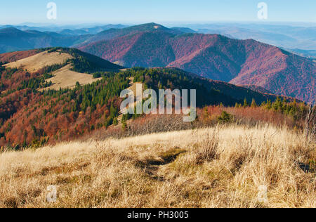 Blick auf kurvenreichen Hügel eines Smoky Mountain Range in rot, orange Laubwald bedeckt und grünen Pinien unter blauen wolkenlosen Himmel an einem warmen Herbst d Stockfoto