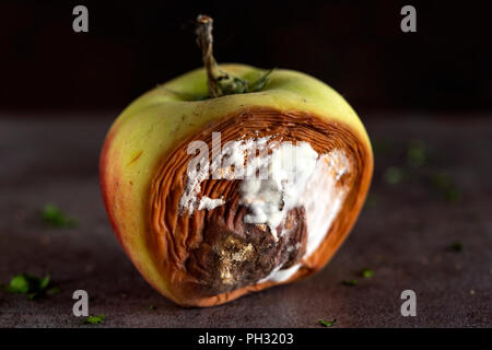 Einen faulen Apfel auf einer hölzernen Hintergrund, Ansicht schließen Stockfoto