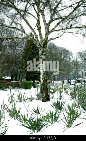 Winter im Alexandra Palace Stockfoto