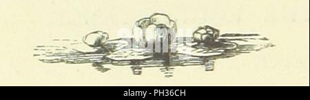 Bild von Seite 12 der "poetische Werke von Alfred Tennyson". Stockfoto